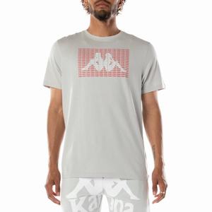 Kappa Authentic Graphik Ramone T Shirts Grey | QM3472061