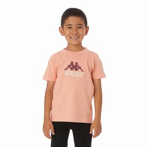 Kappa Authentic Molongio T Shirts Pink Coral | RQ6093781