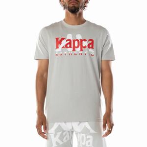 Kappa Authentic Vanguard T Shirts Grey White | OZ6172308