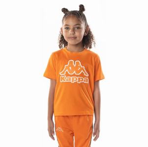 Kappa Logo Bant T Shirts Orange | RW6237859