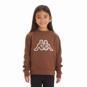 Kappa Logo Tape Apet 2 Hoodie Brown | LP4987213