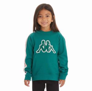 Kappa Logo Tape Apet 2 Hoodie Dark Green | RK1395267