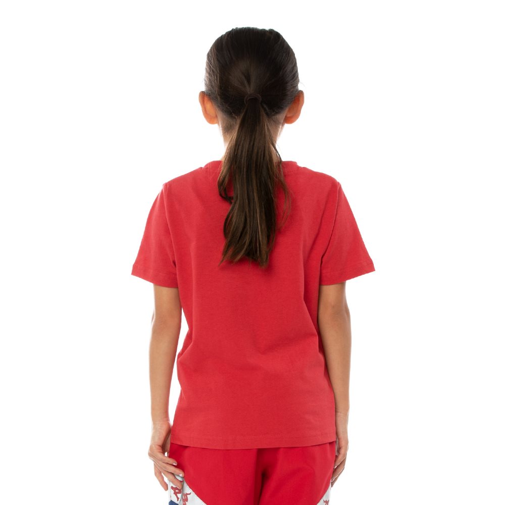 Kappa Authentic Dris Reflective T Shirts Red Blue | CP2489071