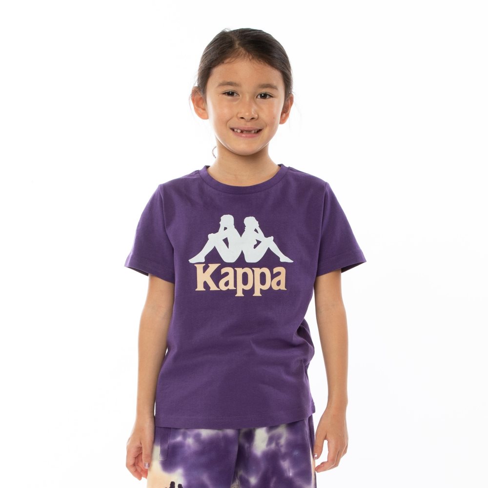 Kappa Authentic Dris Reflective T Shirts Red Blue | CP2489071