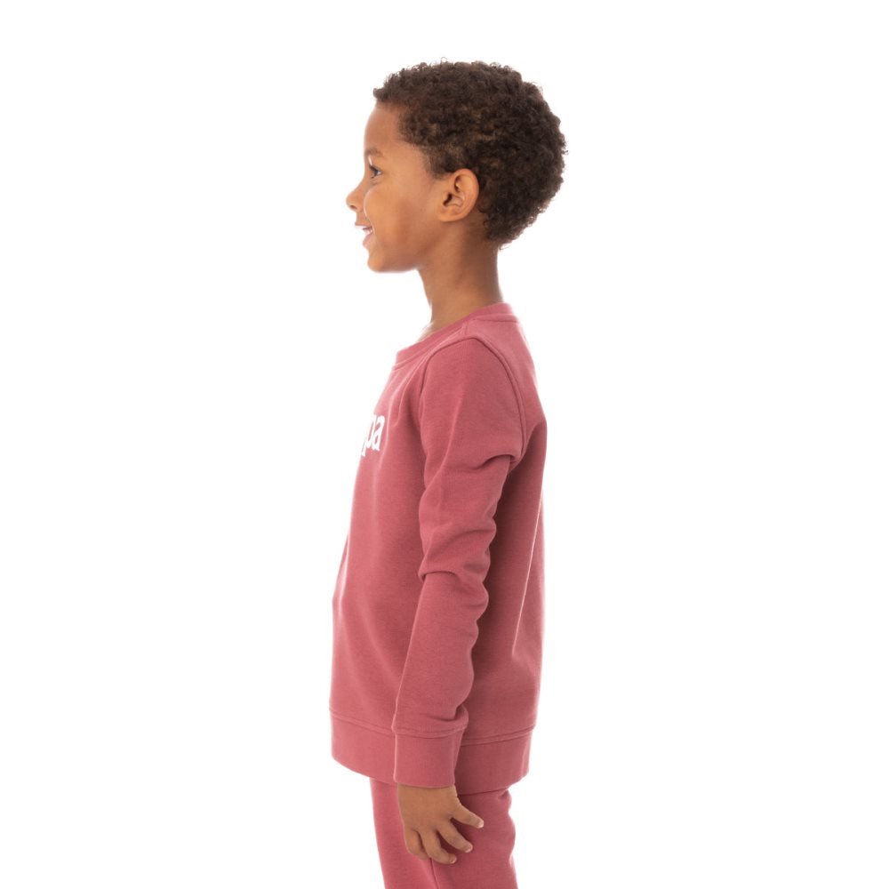 Kappa Authentic Emmen Sweatshirts Burgundy | TQ2147038