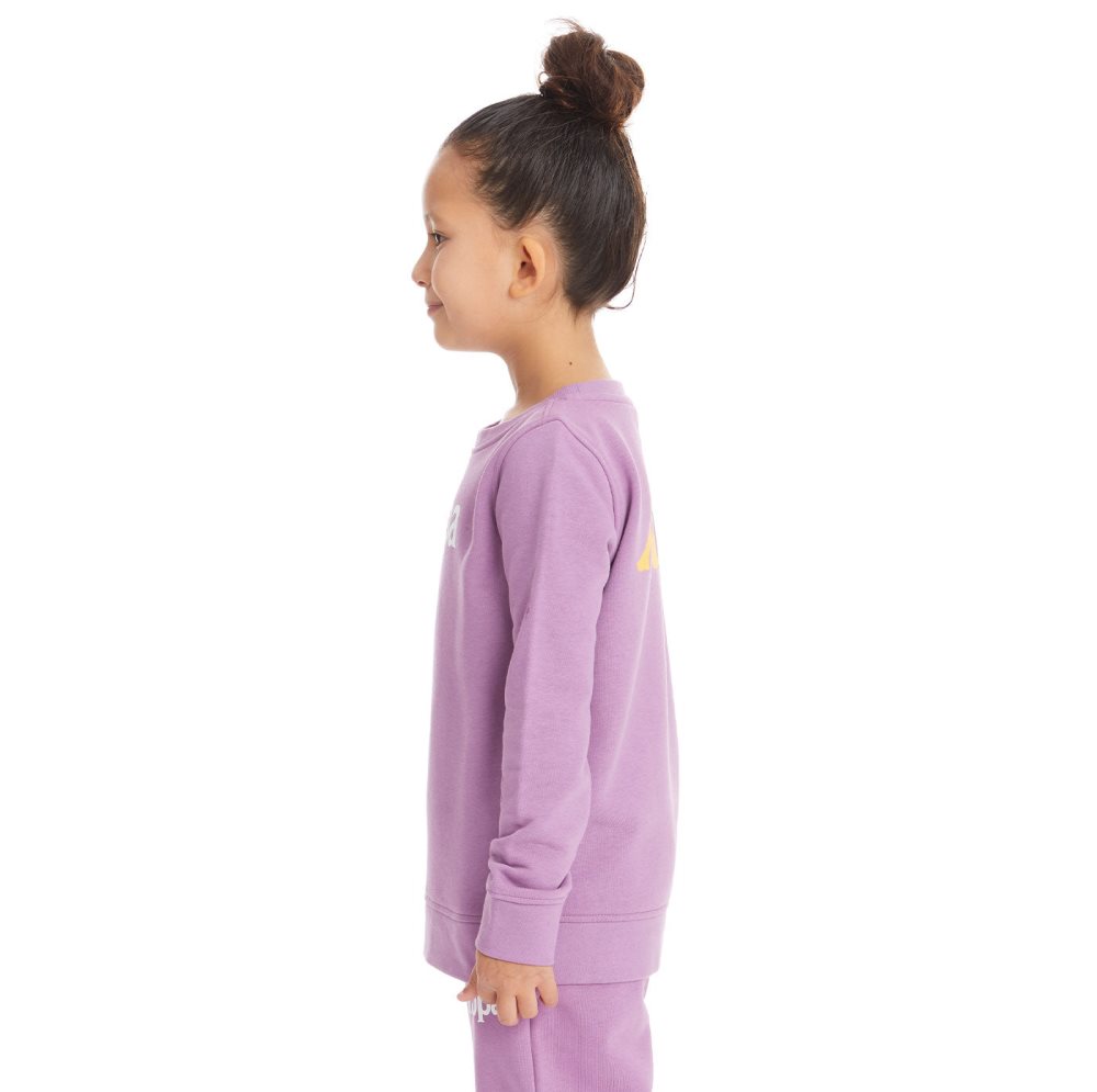 Kappa Authentic Emmen Sweatshirts Purple Lavender | TP4982136