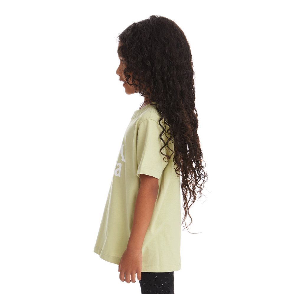 Kappa Authentic Estessi T Shirts Green Olive | PR2718059