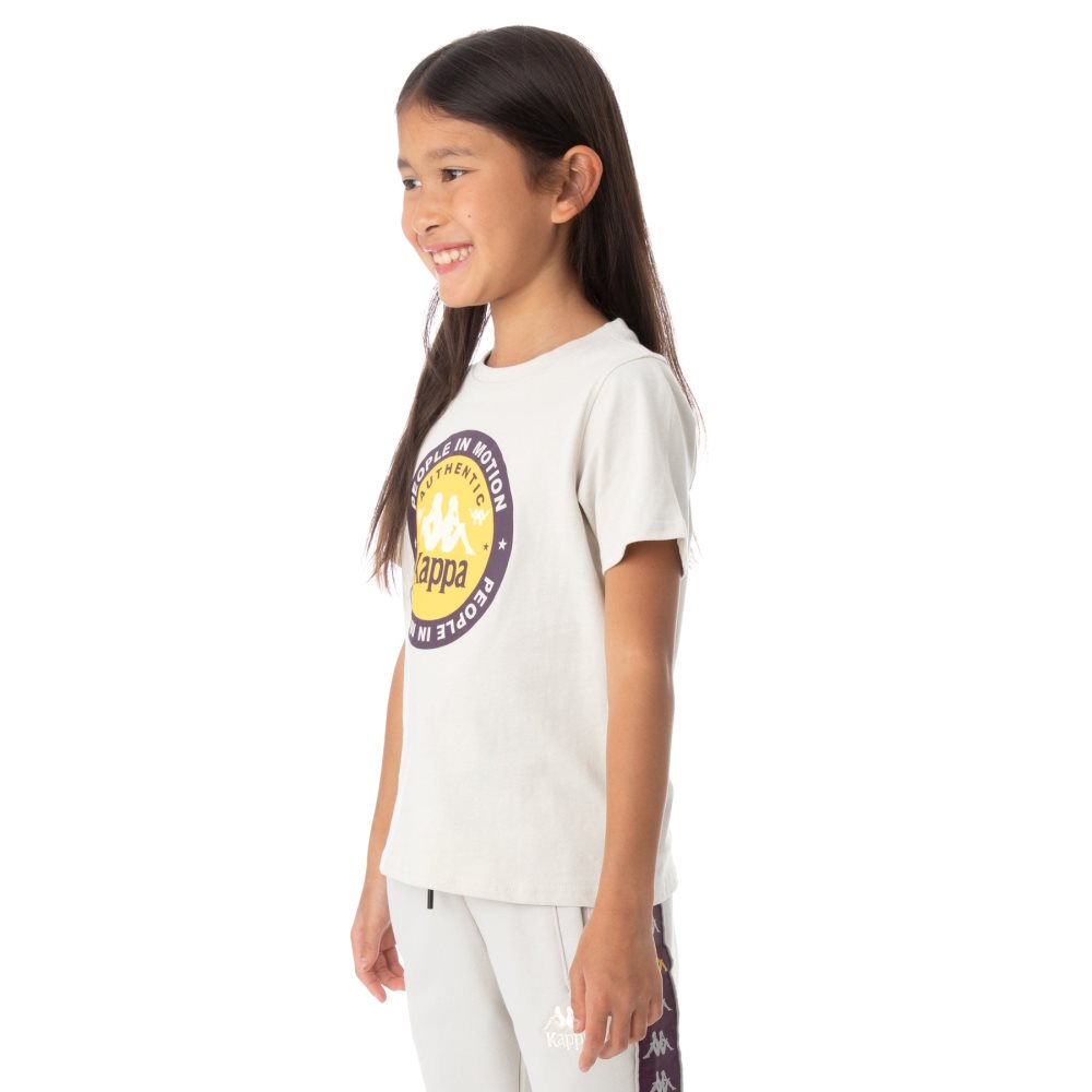 Kappa Authentic Franeker T Shirts Grey Silver | GD1856492