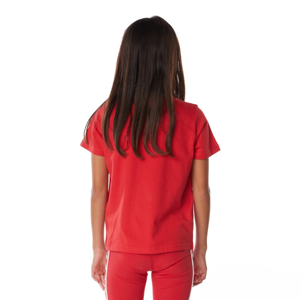 Kappa Authentic Graphik Graphy T Shirts Red | NB0184573
