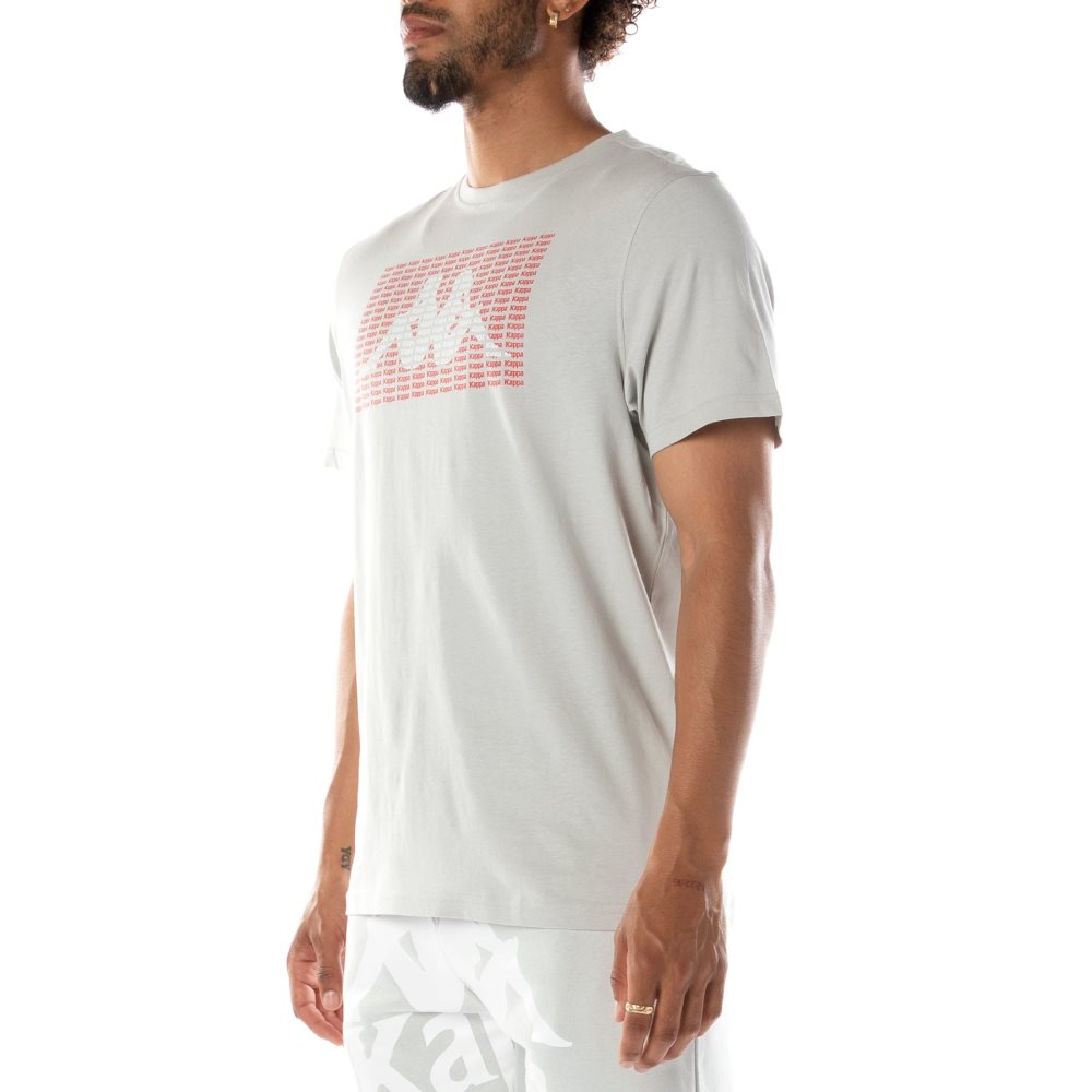 Kappa Authentic Graphik Ramone T Shirts Grey | QM3472061