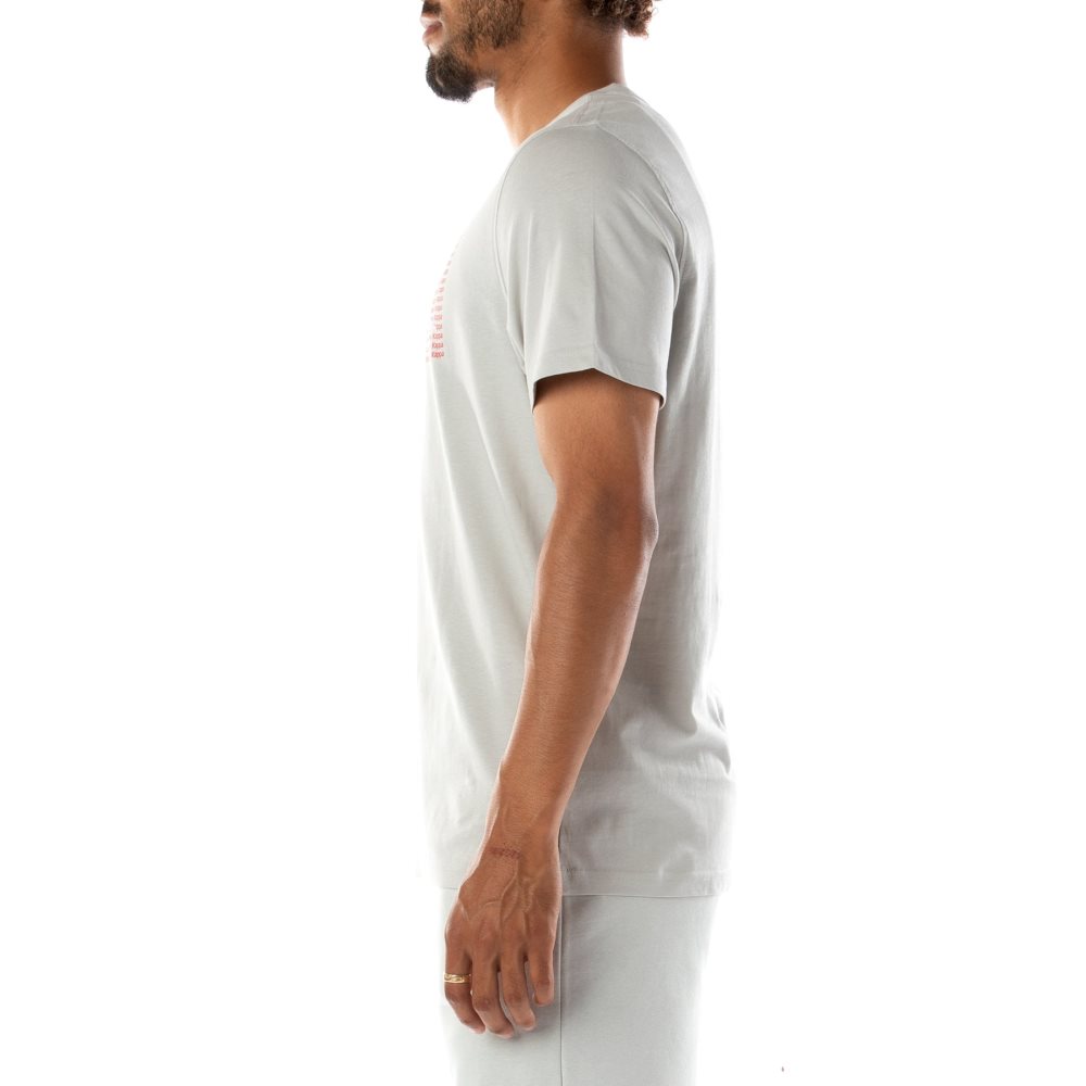 Kappa Authentic Graphik Ramone T Shirts Grey | QM3472061