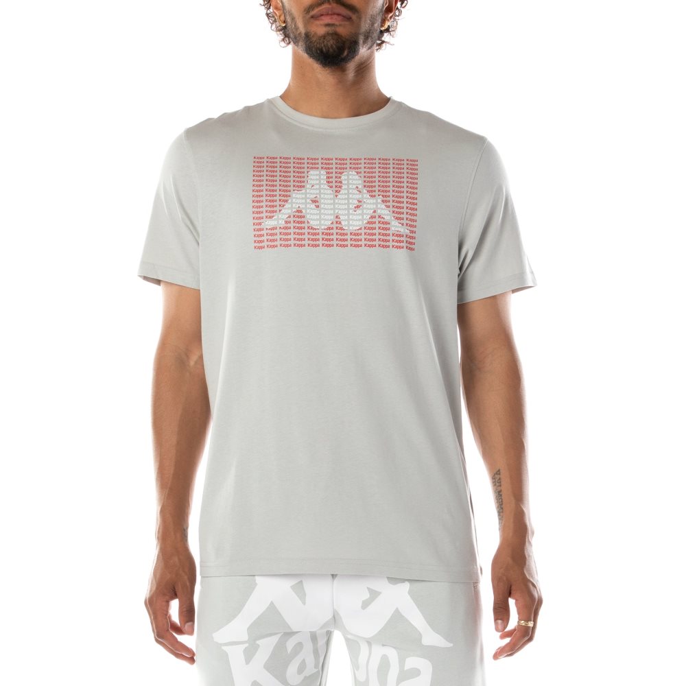Kappa Authentic Graphik Ramone T Shirts Grey | QM3472061