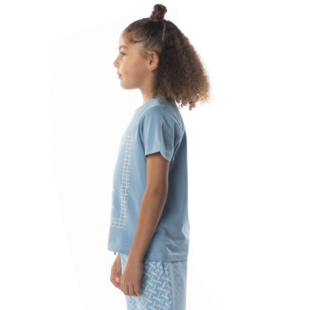 Kappa Authentic Graphy T Shirts Light Blue Brown | FV4120978