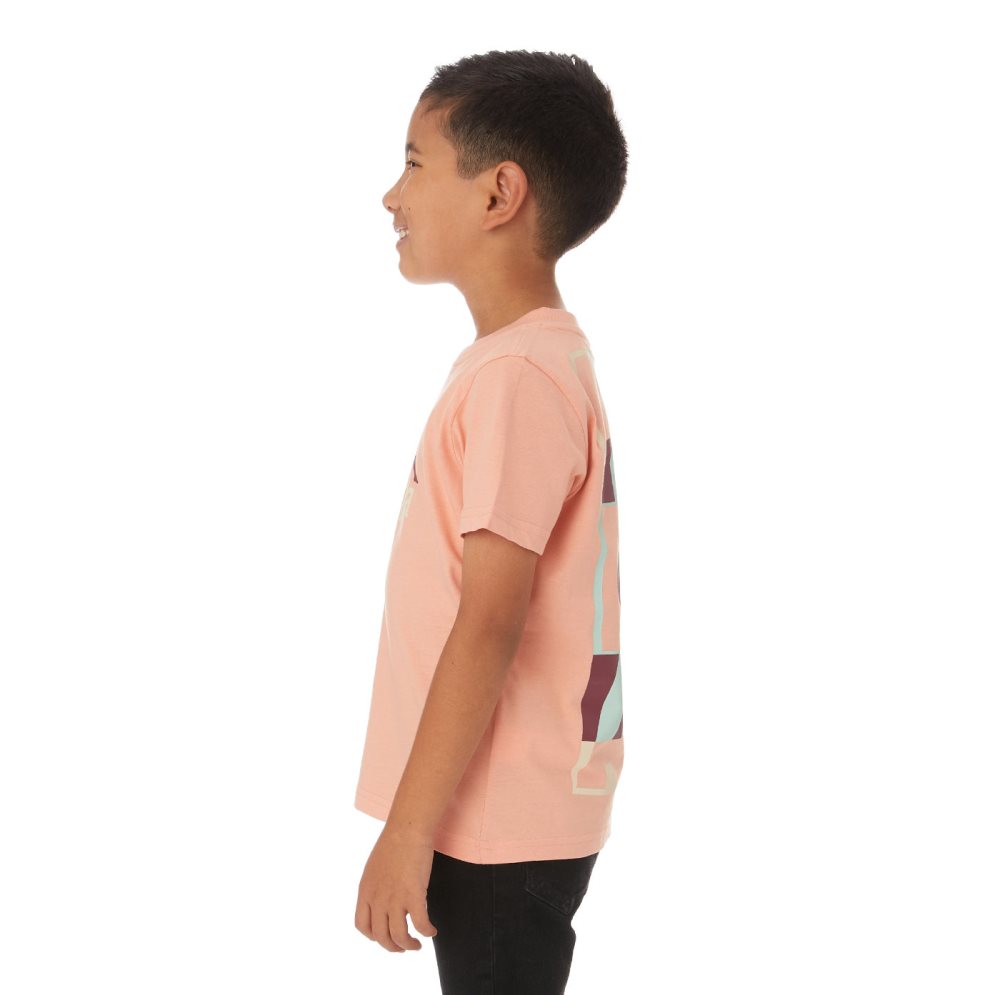Kappa Authentic Molongio T Shirts Pink Coral | RQ6093781