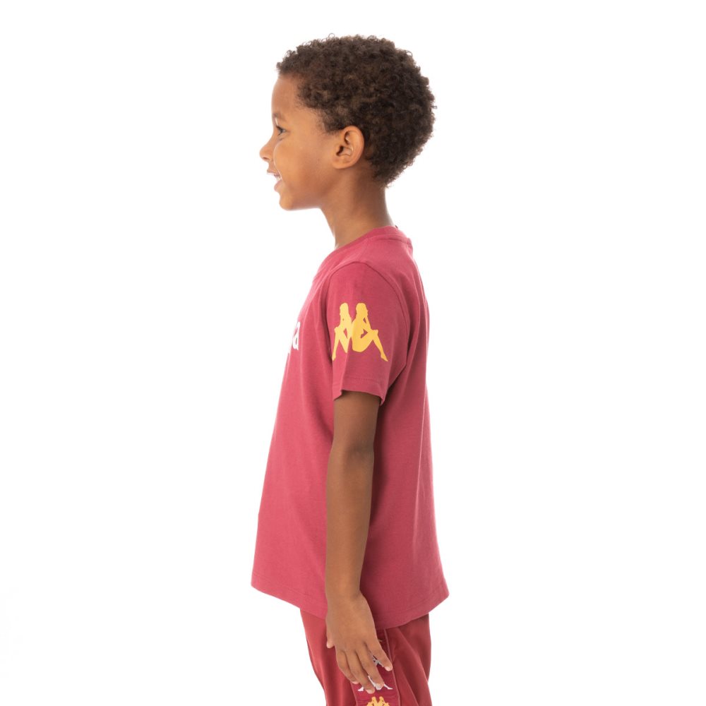 Kappa Authentic Paroo T Shirts Burgundy | HM8371024