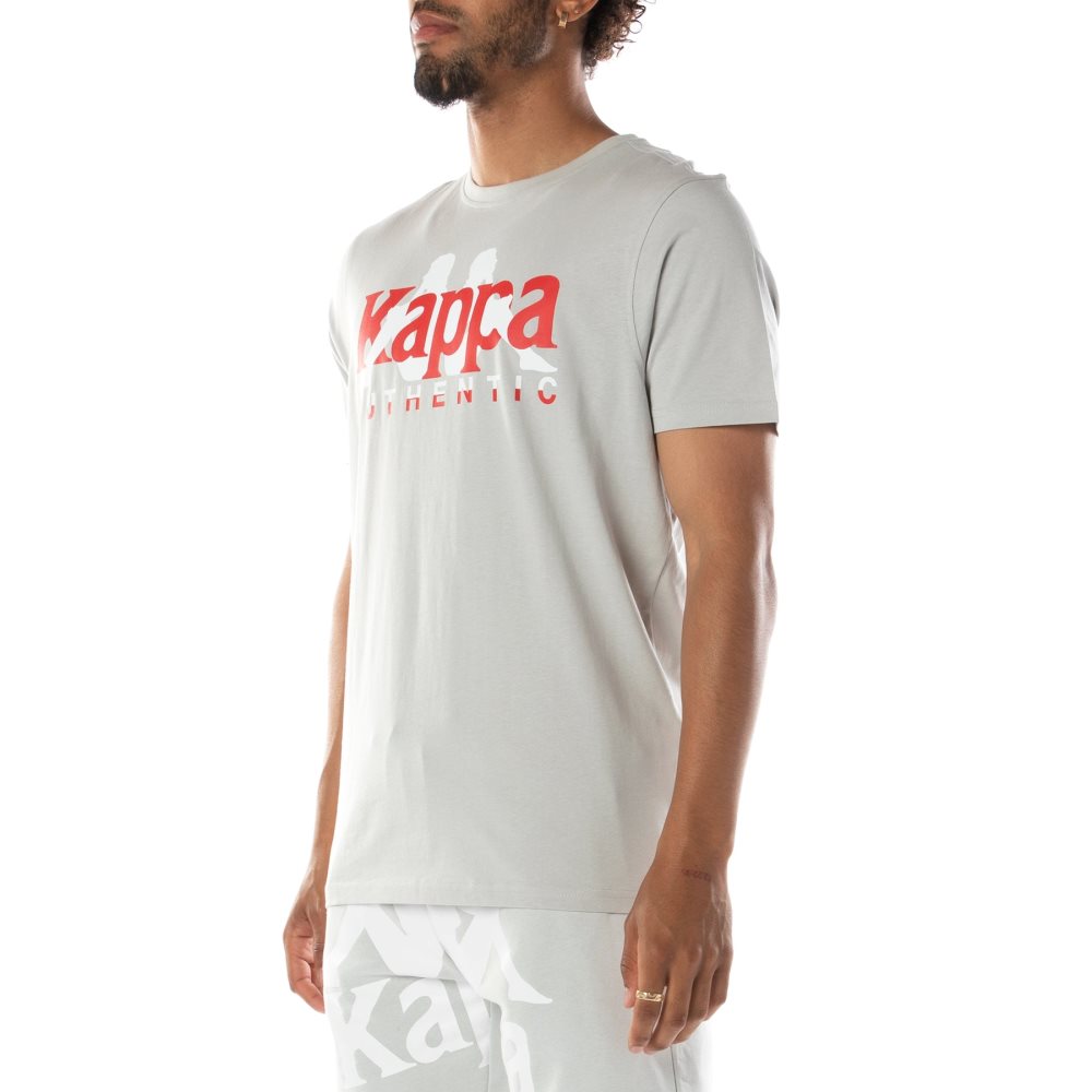 Kappa Authentic Vanguard T Shirts Grey White | OZ6172308