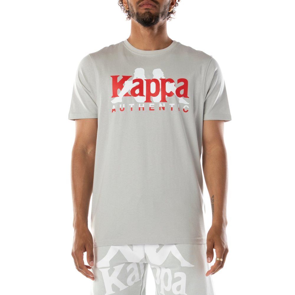 Kappa Authentic Vanguard T Shirts Grey White | OZ6172308