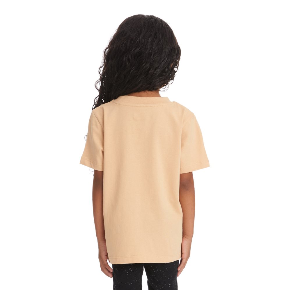 Kappa Logo Bant T Shirts Beige | OG7658109