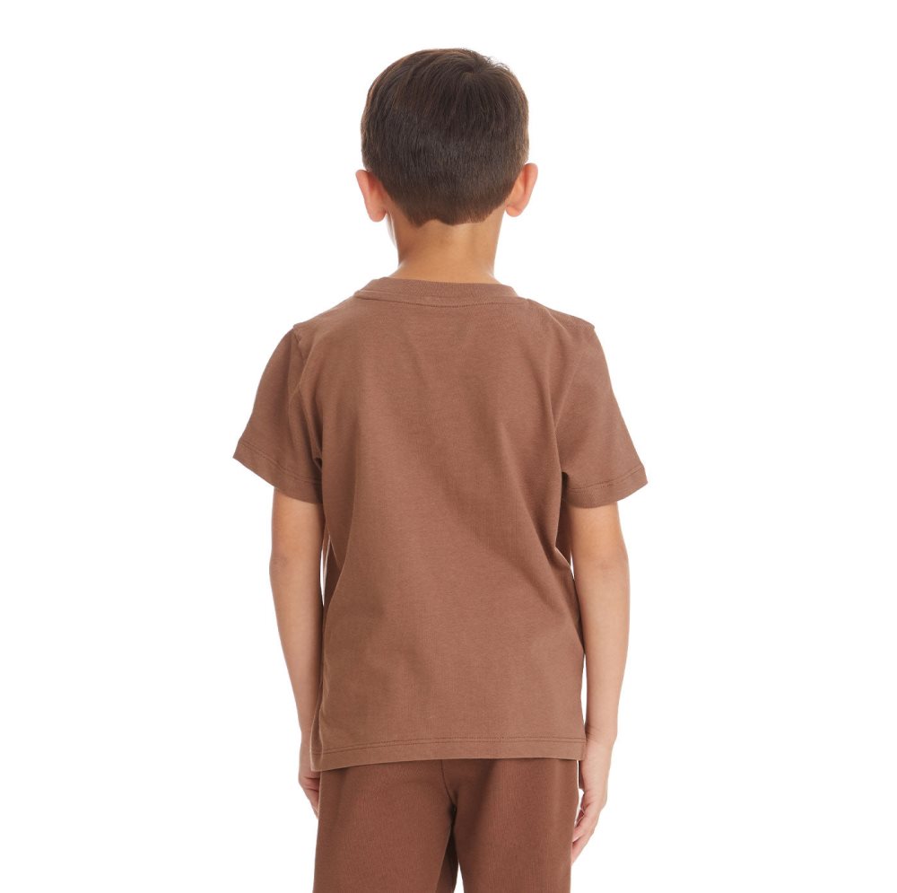 Kappa Logo Bant T Shirts Brown | RI2481039