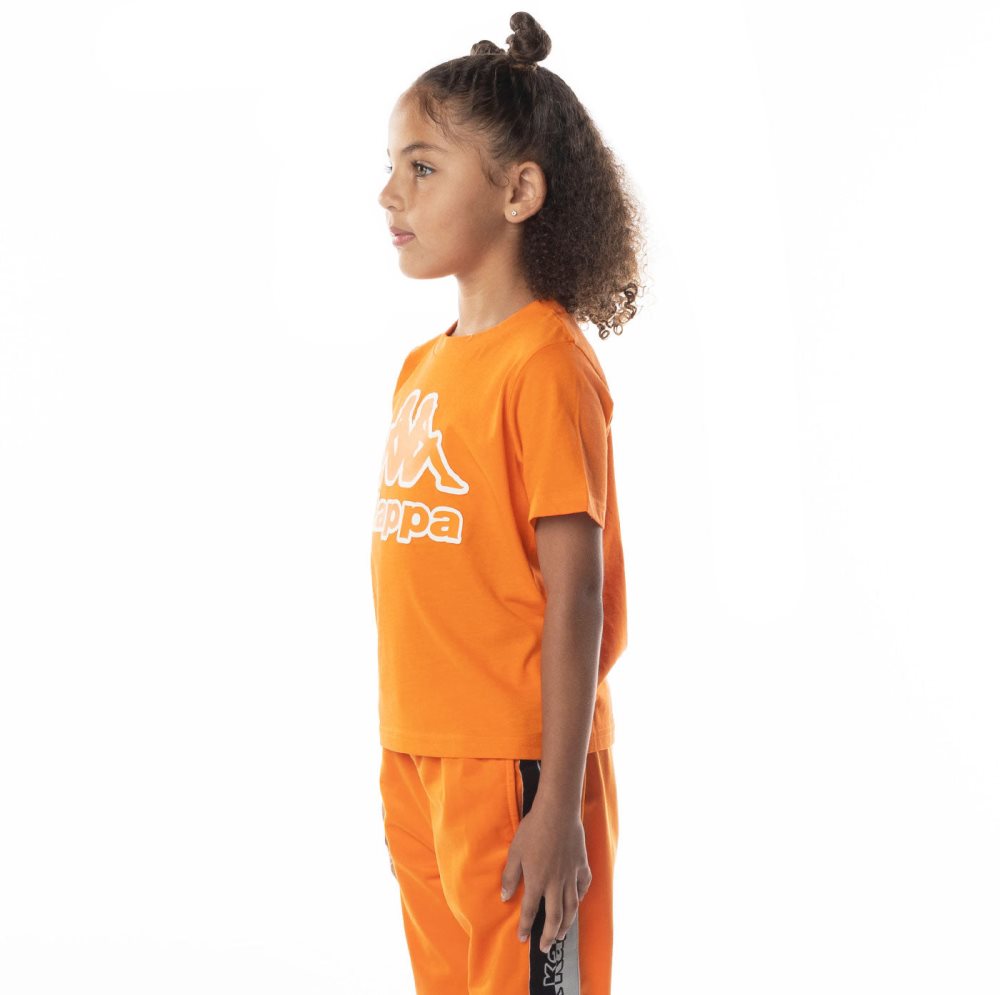 Kappa Logo Bant T Shirts Orange | RW6237859