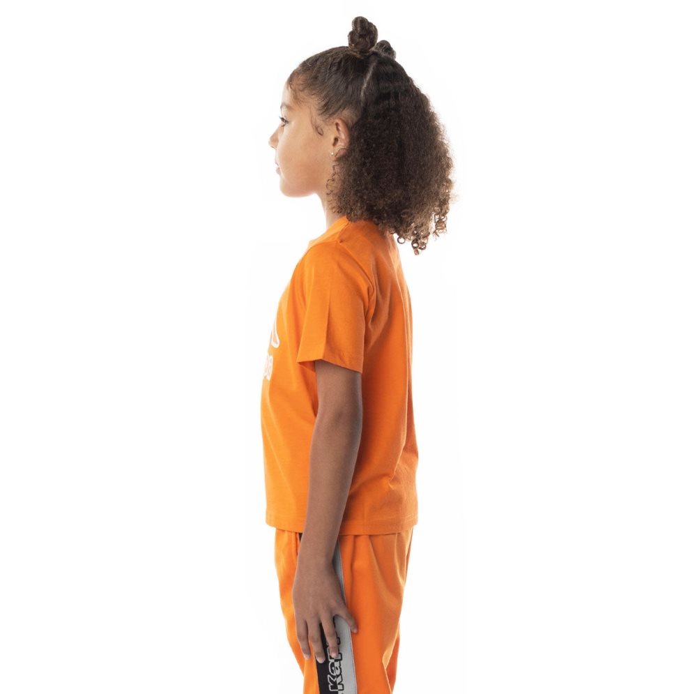 Kappa Logo Bant T Shirts Orange | RW6237859