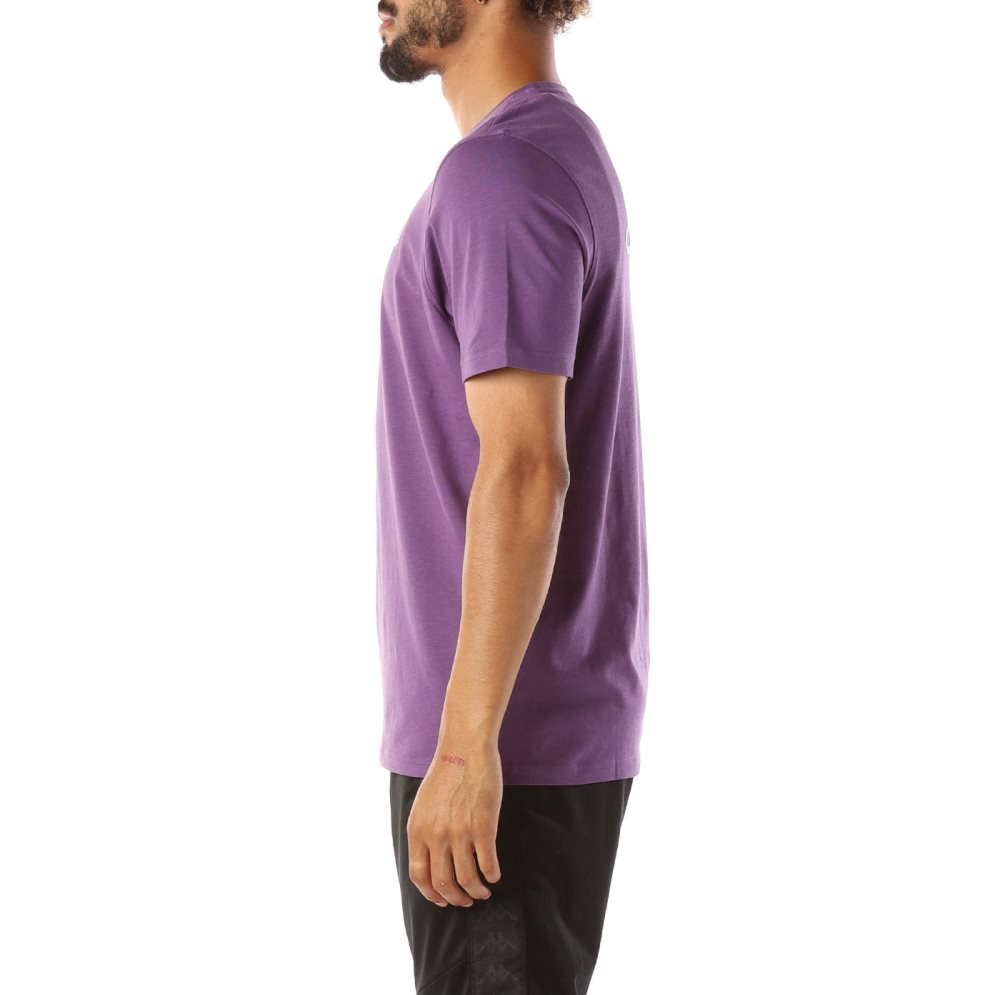 Kappa Logo Cabal T Shirts Purple | RZ8031265